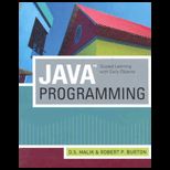 Java Programming : Guided Learning   With CD