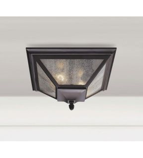 Homestead 2 Light Outdoor Ceiling Lights in Oil Rubbed Bronze OL1013ORB
