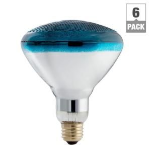 Philips Autism Speaks 100 Watt Incandescent BR38 Blue Flood Light Bulb (6 Pack) 385328