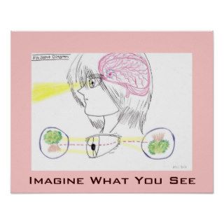 Anime Drawing Style Eye Sight Diagram 20X16 Poster