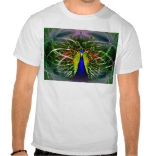 Peacock Dreamcatcher T Shirt