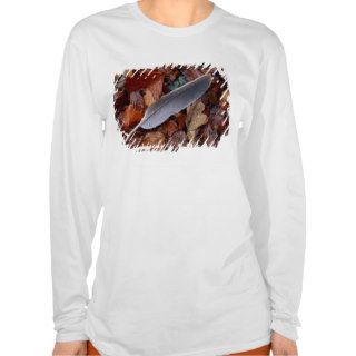 Wood Pigeon Feather Amongst Fallen Leaves T Shirts