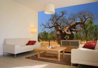 Fototapete Affenbrotbaum Natur KT201 Größe 420x270cm Natur Australien Tapete Outback Küche & Haushalt