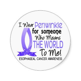 Means The World To Me Esophageal Cancer Sticker