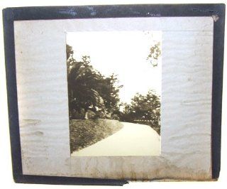 Tropical Road or Canal Photo With Palm Trees Magic Lantern Slide: Everything Else