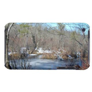 Frozen Wetlands Pond iPod Touch Cases