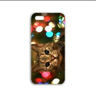 Design Apple Iphone 5/5S Animals Series staring cat animal Black Case of Hallowmas Case Cover For Lady Cell Phones & Accessories