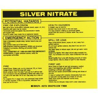Brady 93730 Vinyl Hazardous Material Label , Black On Yellow,  3 3/4" Height x 4 1/2" Width,  Legend "Silver Nitrate" (25 Labels per Package): Industrial & Scientific