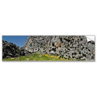 Landscape near Ronda, Andalucia, Spain  flowers Bumper Stickers