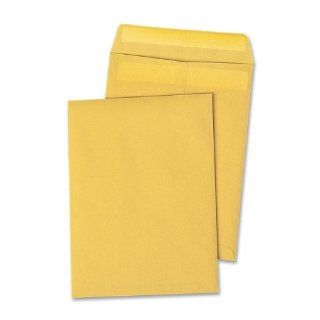 Quality Park Redi Seal 6 x 9 Inch Kraft Catalog Envelopes 100 Count (43167) : Office Products