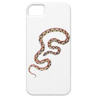 Snake Spotted Harlequin Snake iPhone 5 Cases