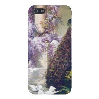 Peacock and white doves in garden iPhone 5 cases