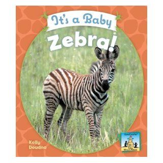 It's a Baby Zebra! (Baby African Animals): Kelly Doudna: 9781604531602: Books