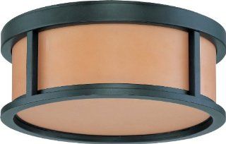 Nuvo Lighting 60/3831 Two Light Down Lighting Flush Mount Ceiling Fixture from the Odeon Collection, Aged Bronze   Close To Ceiling Light Fixtures  