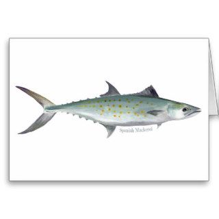 Spanish Mackerel card