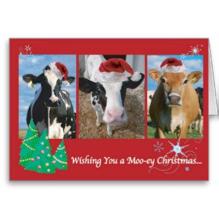 Cow Christmas Greeting Cards