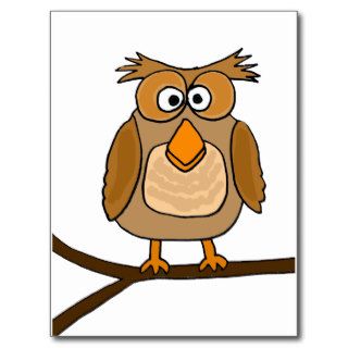 XX  Funny Silly Owl Cartoon Post Cards