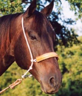 Martin Saddlery Double Rope/Leather Cover Headset Tiedown : Horse Bridles And Reins : Sports & Outdoors