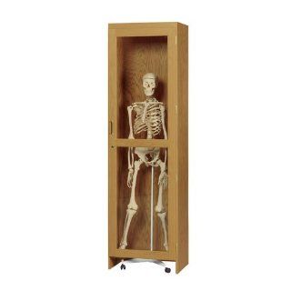 Diversified Woodcrafts 377 2422 Solid Oak Wood Roll in Skeleton Cabinet, 24" Width x 84" Height x 22" Depth