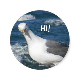 Stickers  Looking Gull