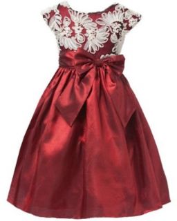 Sweet Kids Girls Fan Embroidered Mesh Taffeta Flower Girl Party Dress: Special Occasion Dresses: Clothing