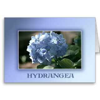 Blue Hydrangea Cards