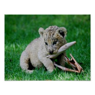Playful lion print