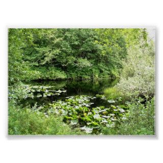 OCEAN SHORES STATE PARK  PACIFIC COAST PRINT