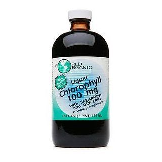 World Organic Liquid Chlorophyll 100mg with Spearmint and Glycerin 16 fl oz (474 ml) Health & Personal Care