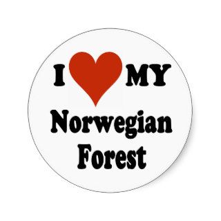 I Love My Norwegian Forest Cat Merchandise Sticker