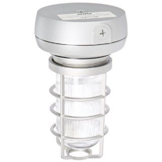 RAB Lighting VX1F26 Vaporproof Ceiling Fixture CFL Lamp with Clear Prismatic Glass Globe, Triple Type, Aluminum, 26W Power, 1800 Lumens, 277V, 1/2" Hub, Natural: Fluorescent Lamps: Industrial & Scientific