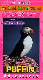 Audubon's Animal Adventures: Puffin [VHS]: Brad Kane: Movies & TV
