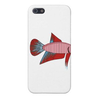 Lady Betta   Veiltail iPhone 5 Cover