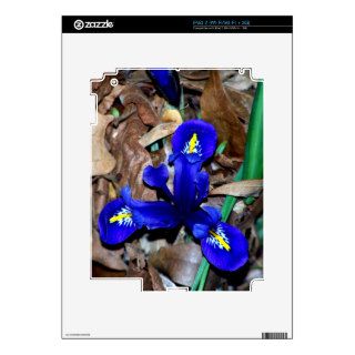 Miniature Blue Dutch Iris iPad 2 Decal