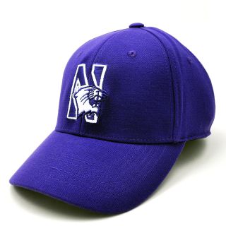 Top of the World Premium Collection Northwestern Wildcats One Fit Hat   Size: 1 
