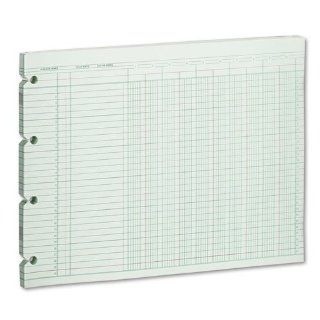 Wilson Jones   Accounting Sheets, 10 Column, 9 1/4 x 11 7/8, 100 Loose Sheets/Pack, Green   Sold As 1 Pack   Smudgeproof inks for permanent record keeping. : Columnar Sheets : Office Products