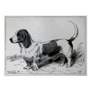 "Basset Hound" Vintage Dog Illustration Poster