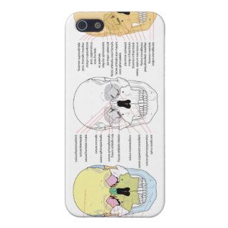 Complete Diagram of the Front of the Human Skull Case For iPhone 5