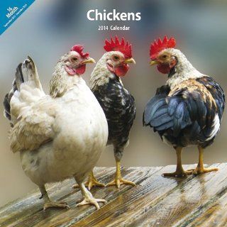 Chickens 2014 Wall Calendar : Pet Memorial Products : Pet Supplies