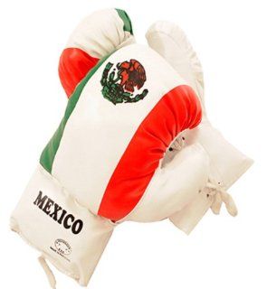 FLAG OF MEXICO 16 OUNCE BOXING GLOVES: Everything Else