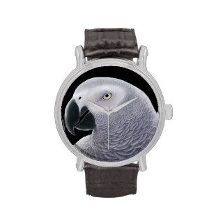Friendly African Gray Parrot Watch