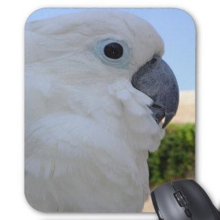 Blue Eyed Cockatoo Mousepads