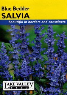 Lake Valley 3473 Salvia Blue Bedder Heirloom Seed Packet : Flowering Plants : Patio, Lawn & Garden