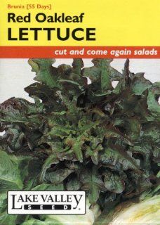 Lake Valley 693 Lettuce Red Oakleaf Brunia Seed Packet : Vegetable Plants : Patio, Lawn & Garden