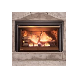 Napoleon Direct Inspiration Direct Vent Gas Fireplace