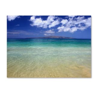 Trademark Art Hawaii Blue Beach Canvas Art