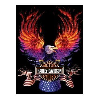FX Schmid Harley Davidson Flaming Eagle 500 Piece Jigsaw Puzzle: Toys & Games