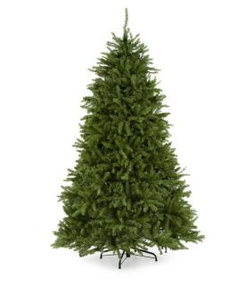 Dunhill Fir Full Unlit Christmas Tree   Christmas Trees