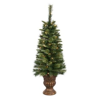 Potted Euclid Mix Pine Pre lit Tabletop Christmas Tree   Christmas Trees