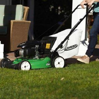 Lawn Boy 10732 Kohler Rear Wheel Drive Self Propelled Gas Walk Behind Mower, 21 Inch : Patio, Lawn & Garden